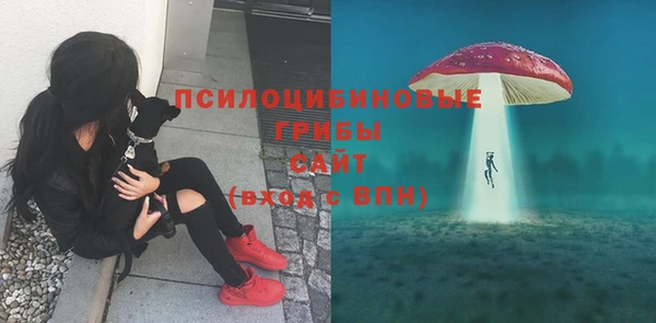 скорость Няндома