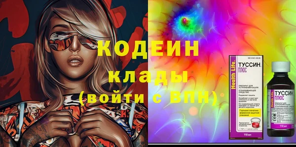 прущие грибы Ладушкин