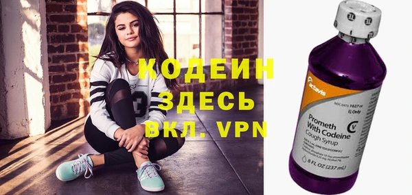 прущие грибы Инта