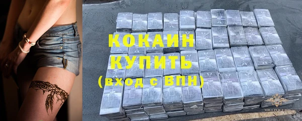 apvp Новодвинск