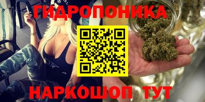 эйфоретик Обь