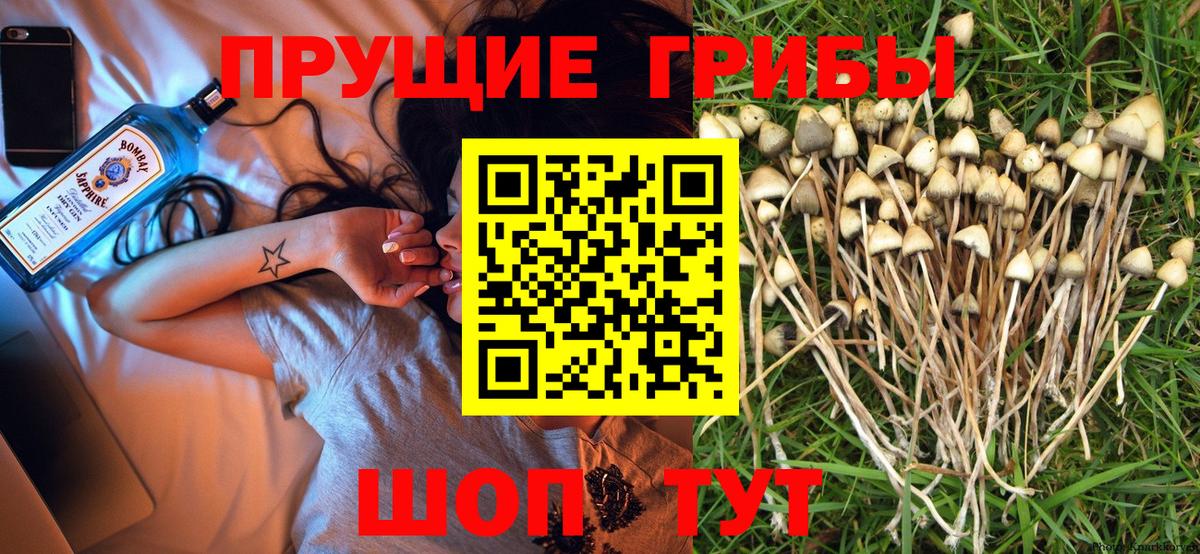 Псилоцибиновые грибы ЛСД Южно-Сахалинск